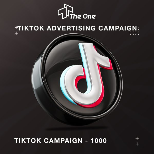 TikTok campaign - 1000