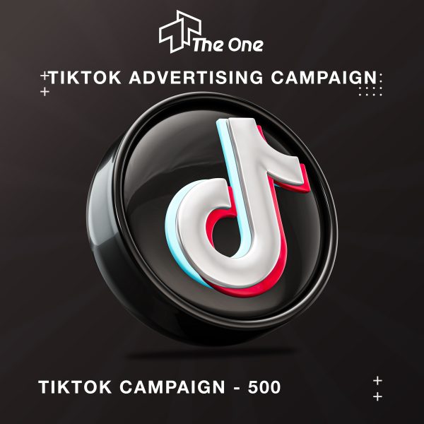TikTok campaign - 500